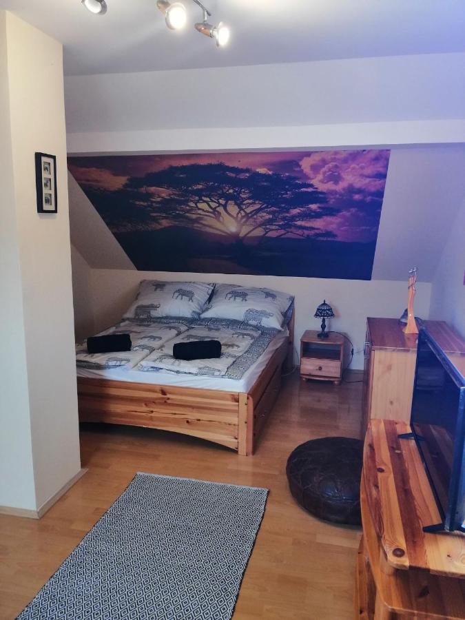 Elza Apartman Makó Extérieur photo